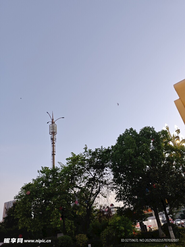 绿树间的通信基站