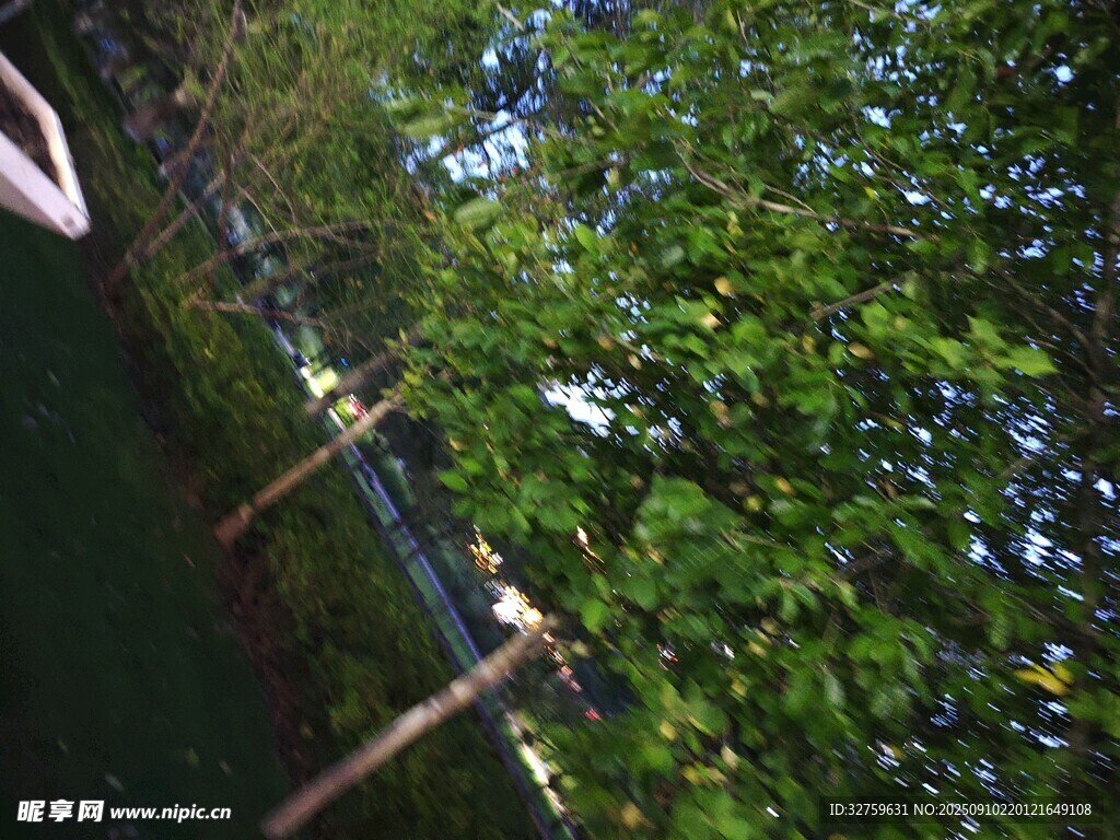 户外绿树围栏景致