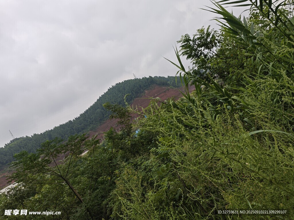 山间葱郁植被与远处山峦