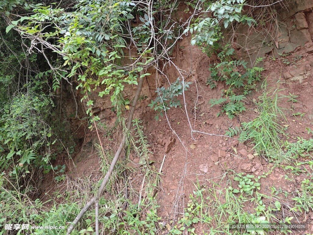 山坡绿植与裸露红土地