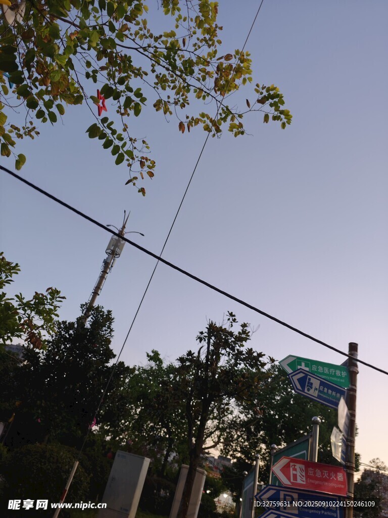 街道旁的绿树与标识