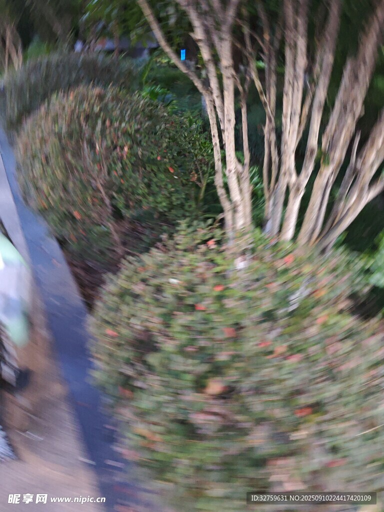 路边绿植景观