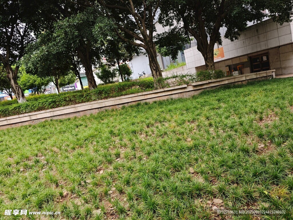 户外草地旁的建筑景观