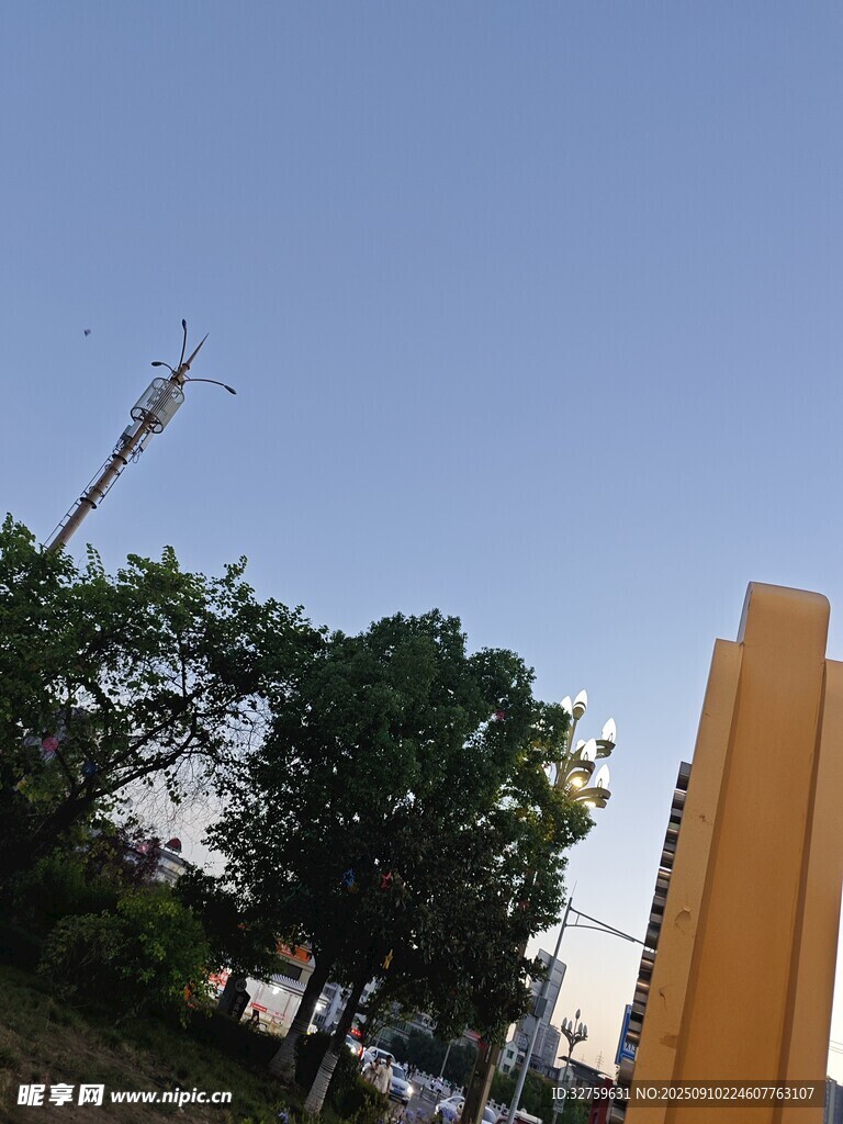 户外景色中的树木与建筑