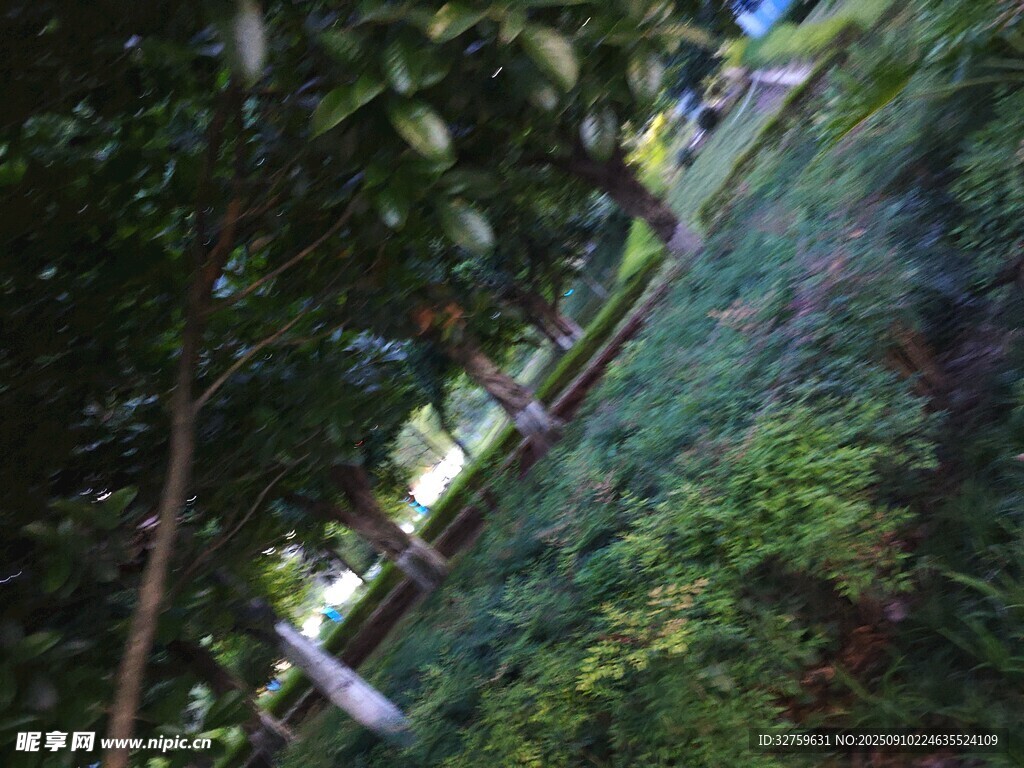 山间绿植环绕的木质栈道