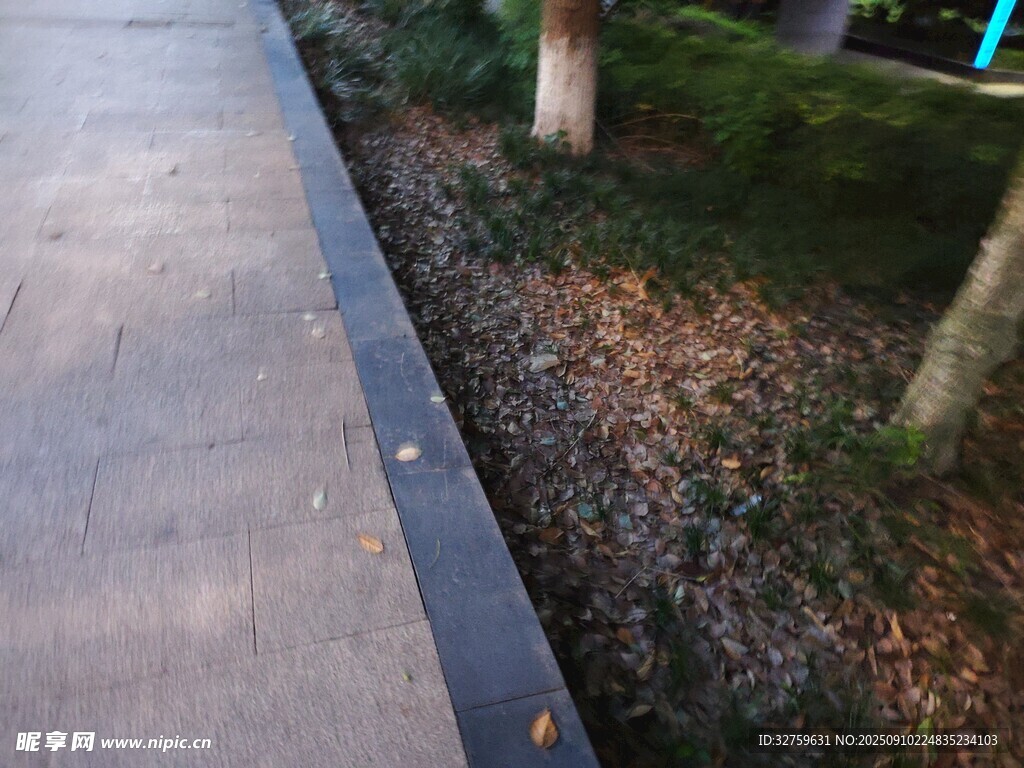户外木质步道旁绿植景观