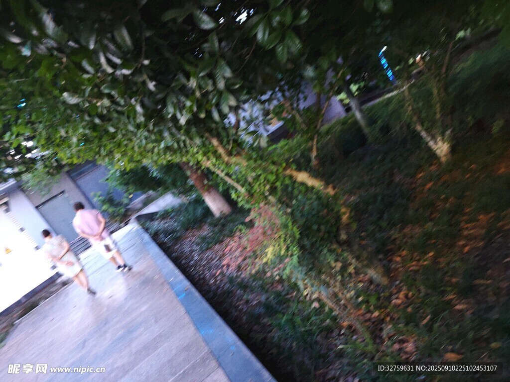 夜晚行人漫步于林荫小道