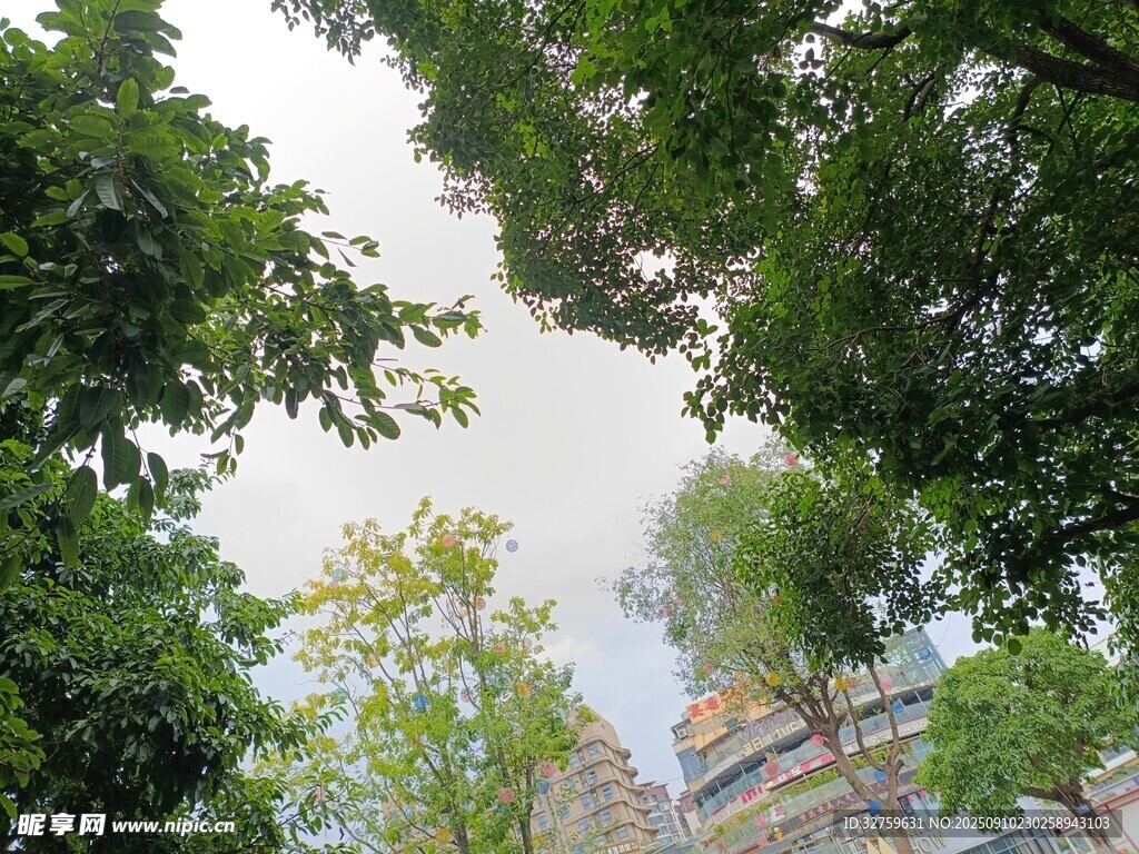 仰视绿树间的古老建筑