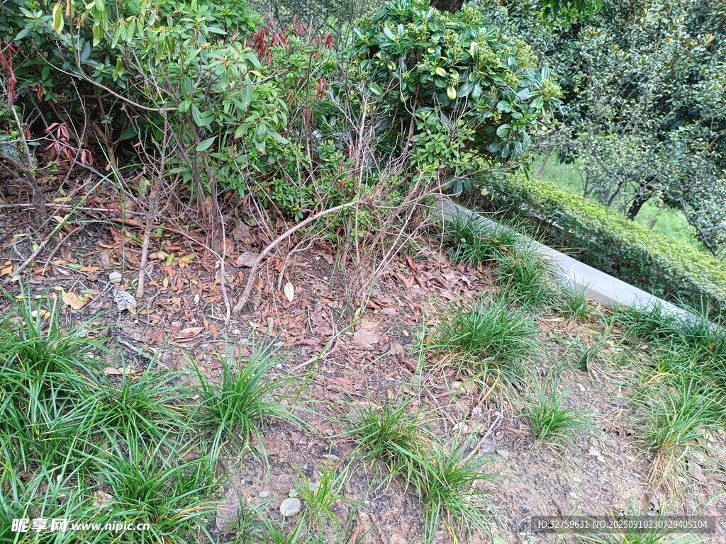 户外绿植景观一角