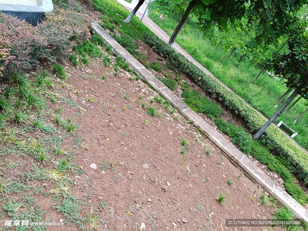 户外泥土与绿植景观