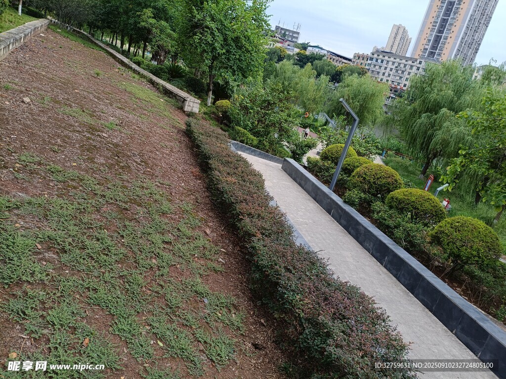 城市中的绿植步道景观