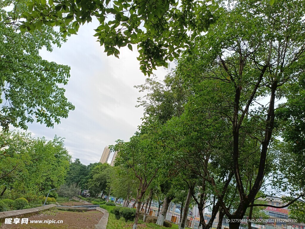 绿树成荫的城市休闲小道