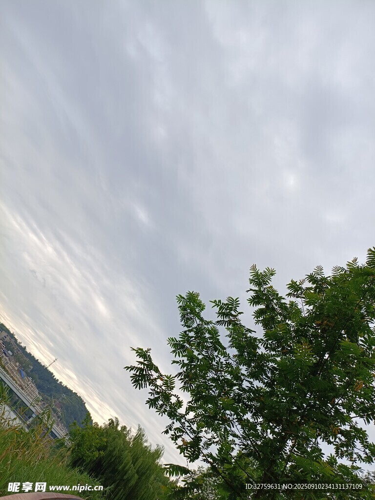 山间绿树与多云天空