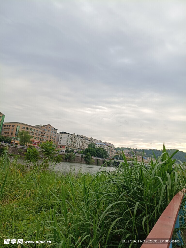 河畔绿植与远处建筑景观