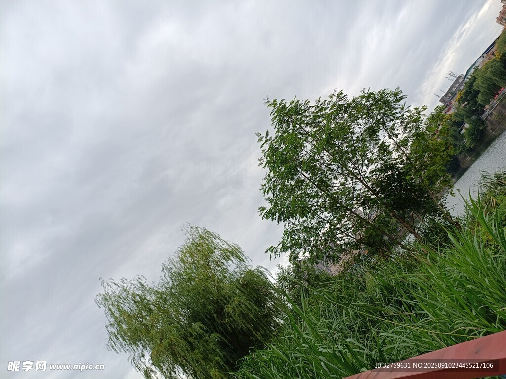 阴天河畔绿树景观