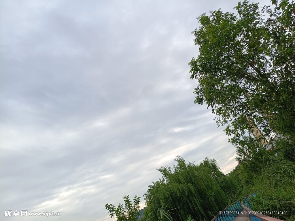 户外绿树与天空景象