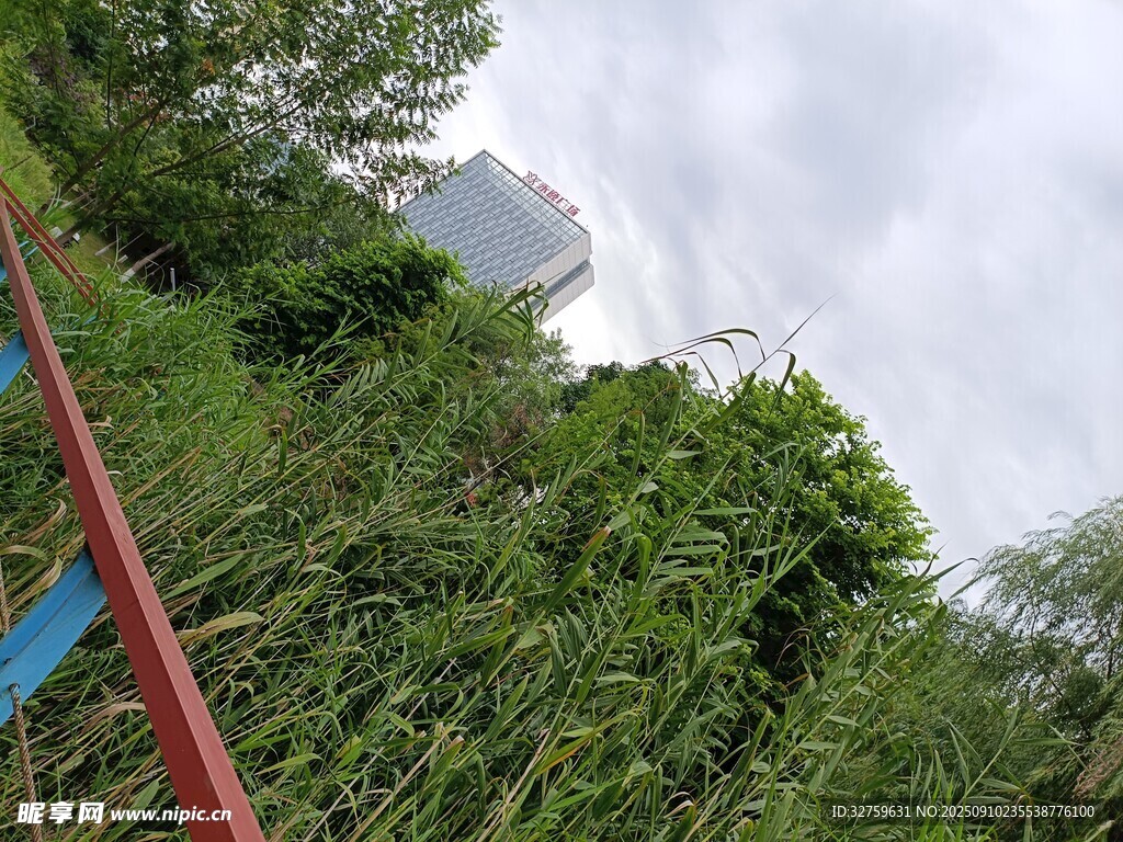 野外绿植与远处山峦景观