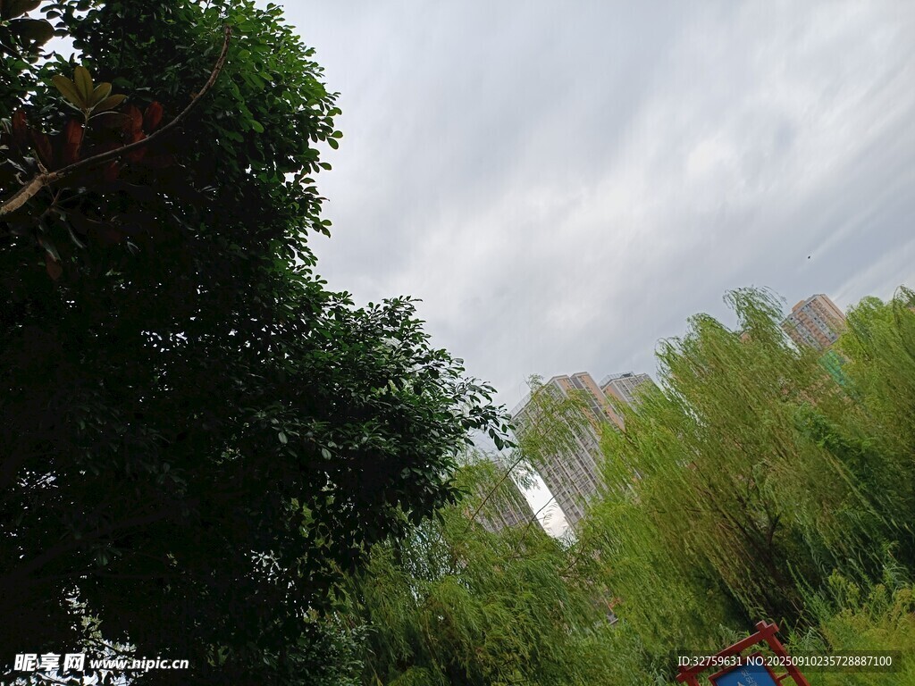 林间景色 
