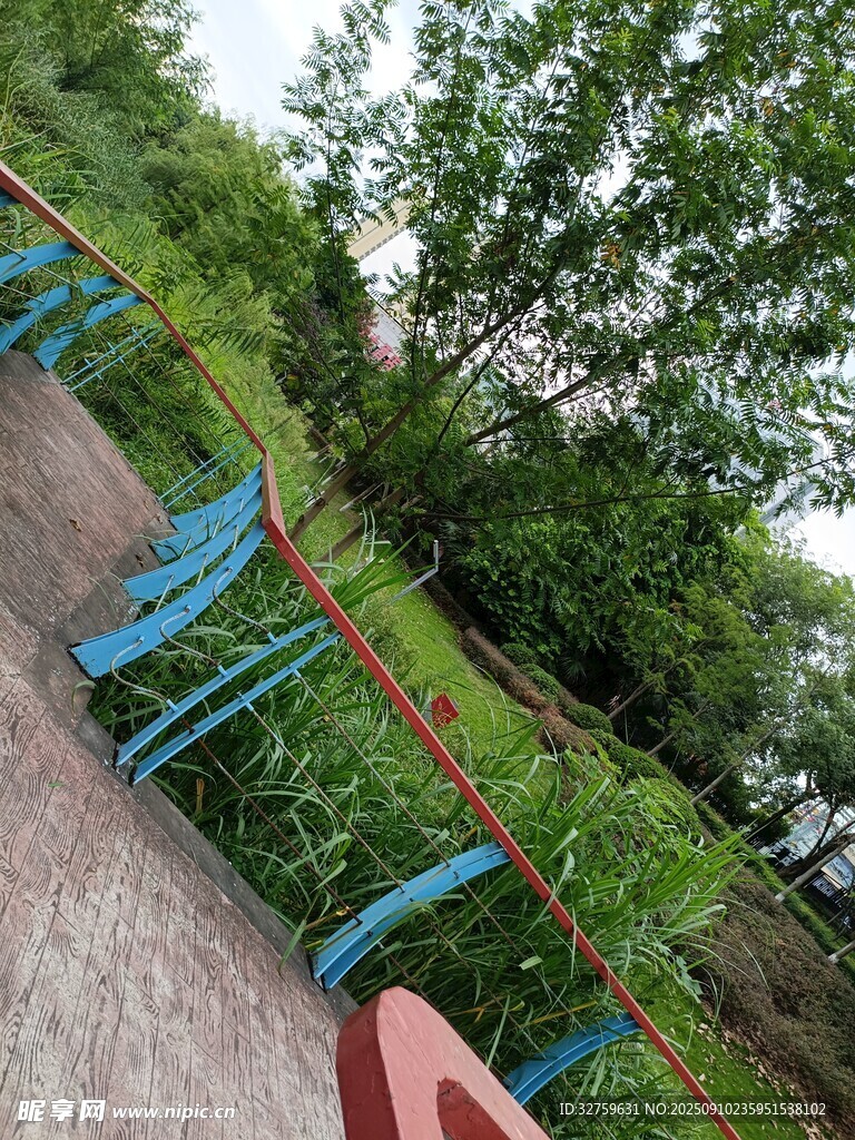 户外健身设施与绿植景观