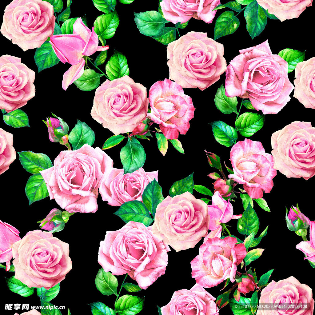玫瑰花