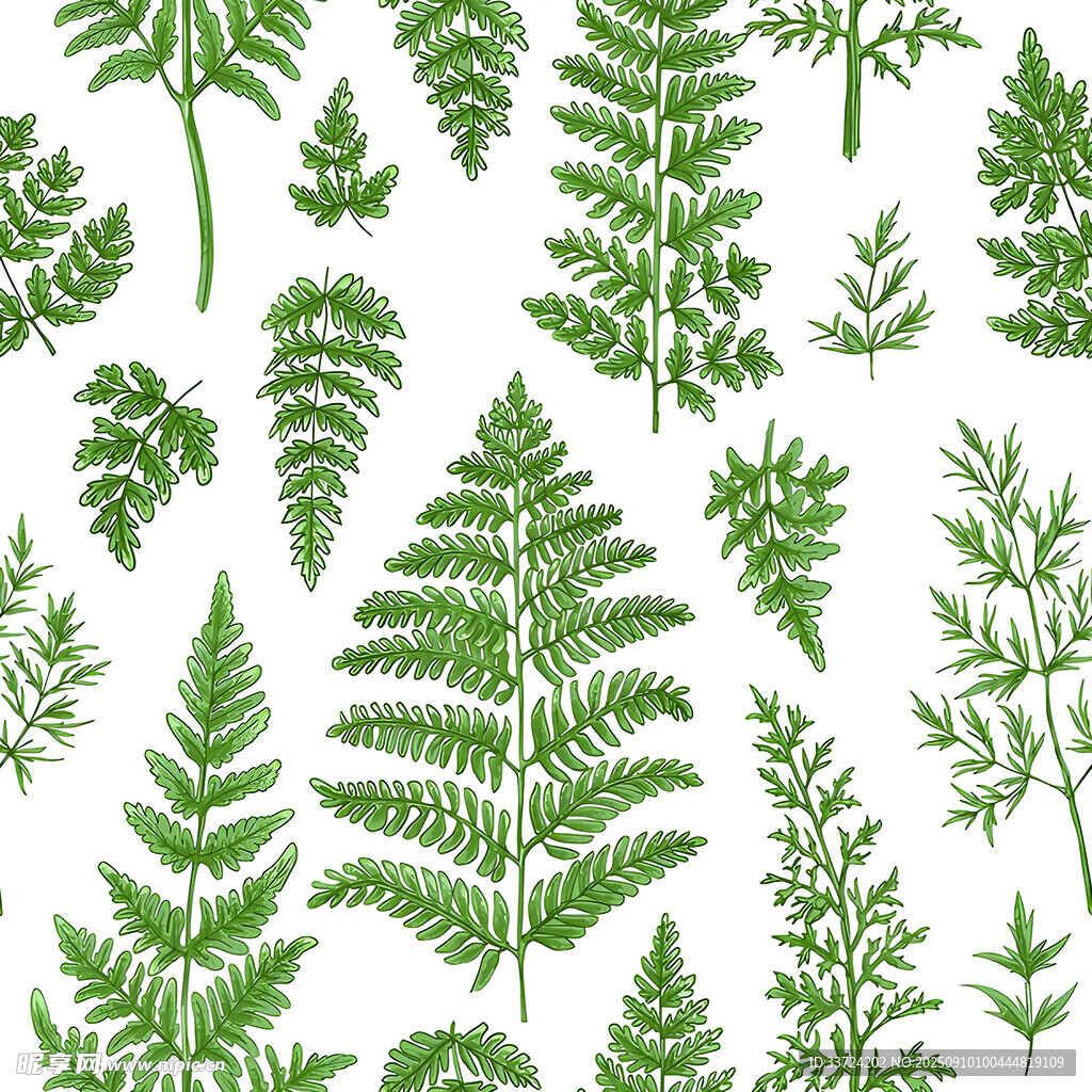 植物