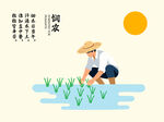 农民水田插秧劳作场景