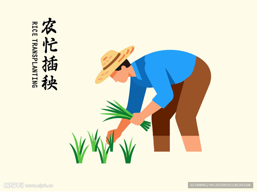 农民插秧忙