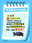 龟龟喂养方法指南
