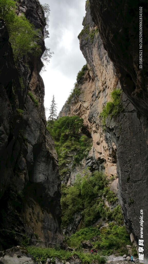 峡谷峭壁间的绿意景致