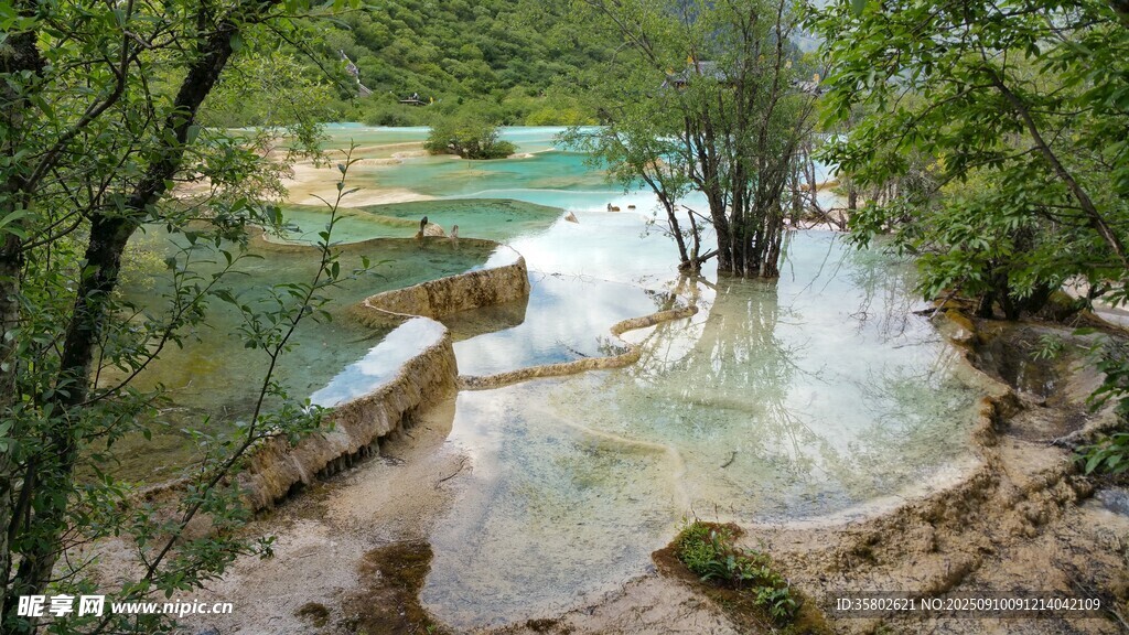 梦幻多彩的自然溪流景观