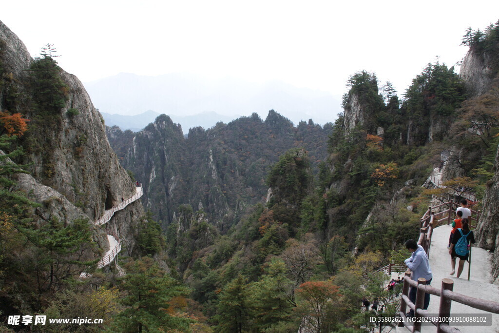 黄山奇峰间的游人步道