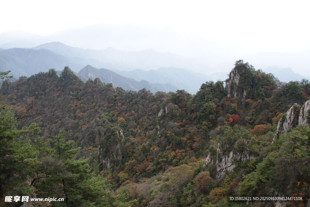 山林景色绿意盎然的山峦