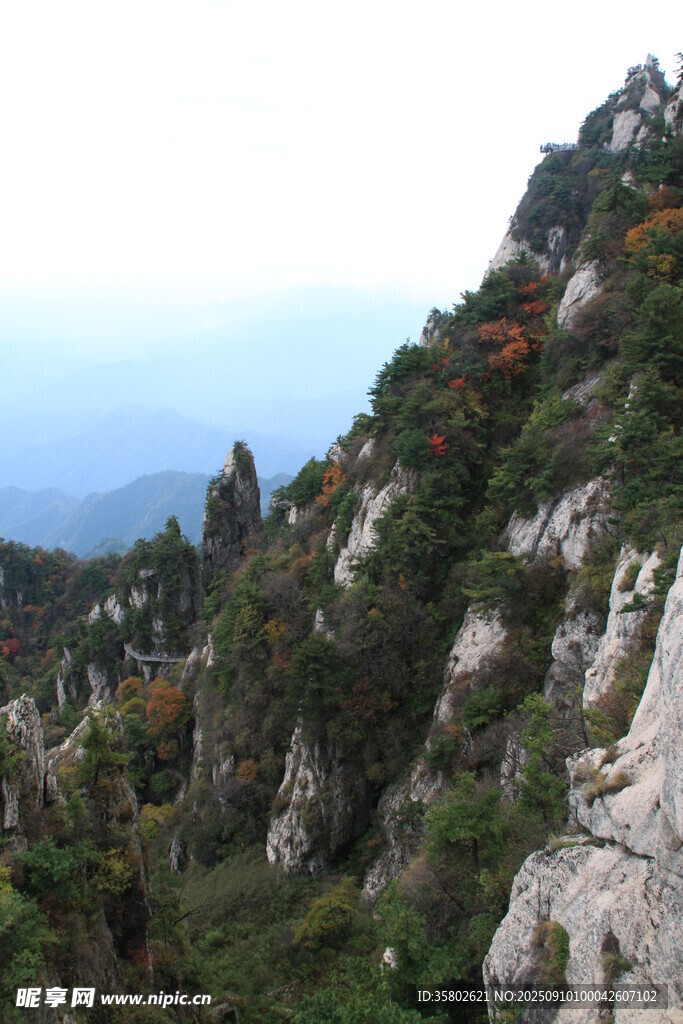 峻岭奇峰间的多彩山林