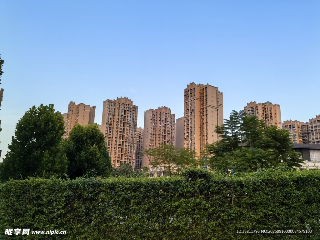 城市高楼与绿植景观