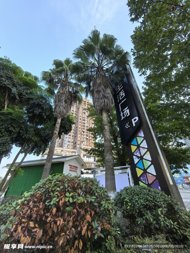 校园建筑旁的绿植与标识牌