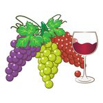 葡萄与红酒插图