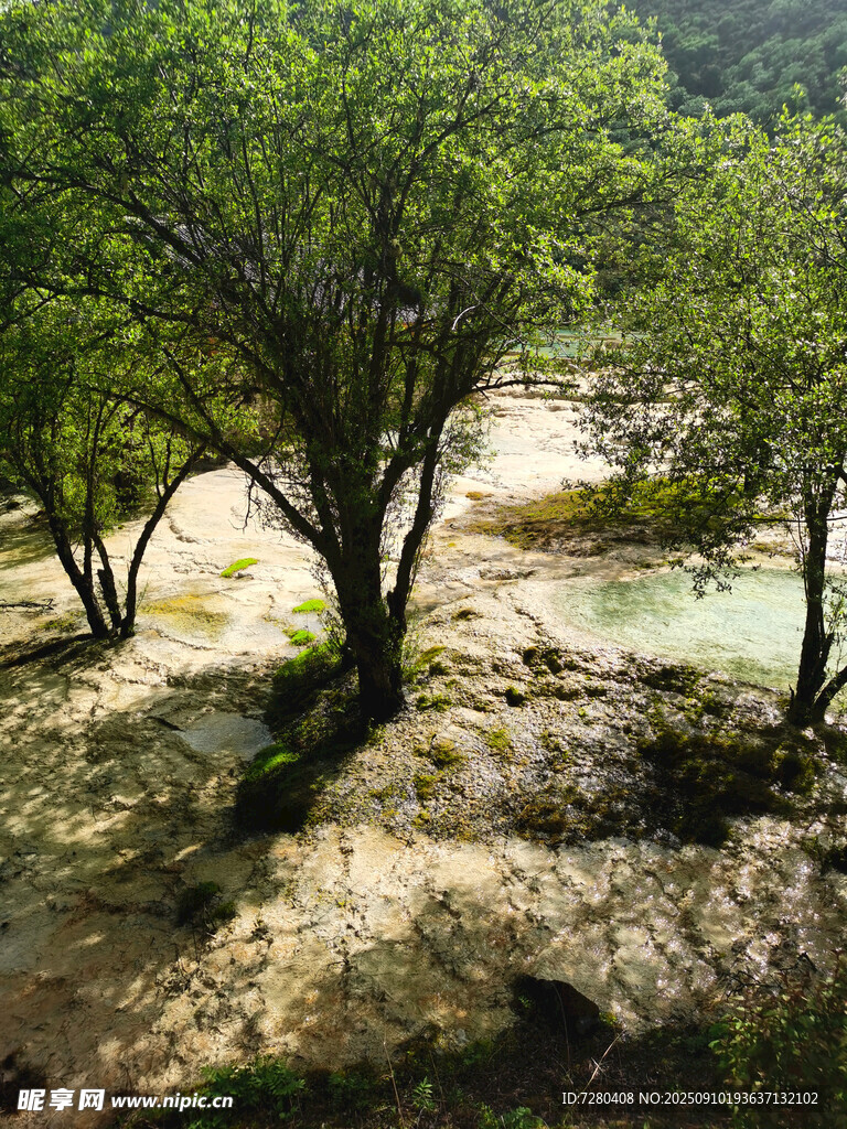 山林间的光影斑驳美景