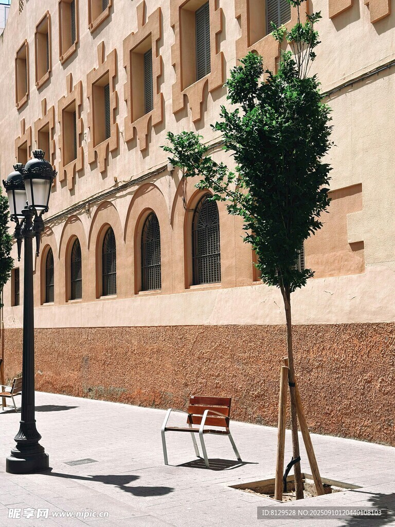 街道旁的建筑与绿植景观