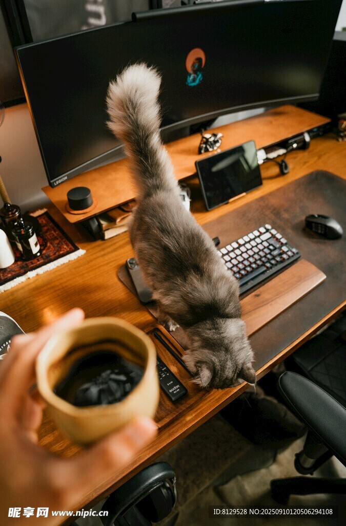 猫咪在电脑桌上好奇张望