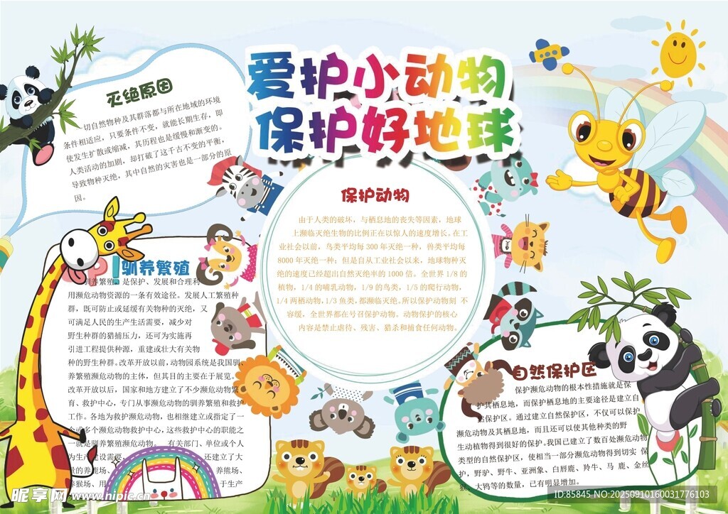 爱护动物手抄报