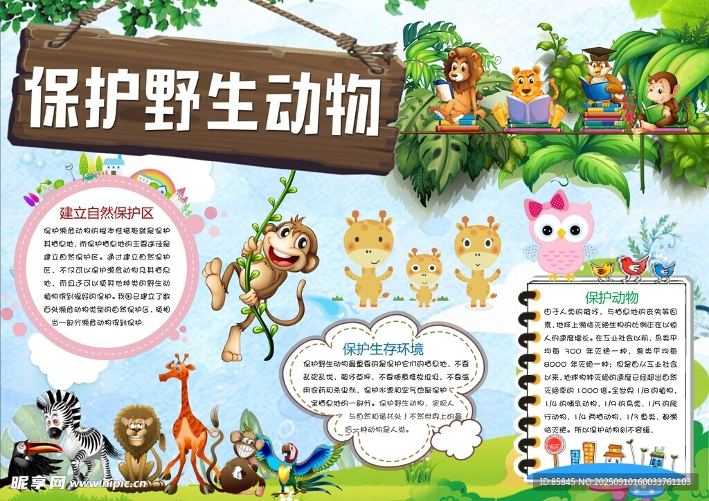 爱护动物手抄报