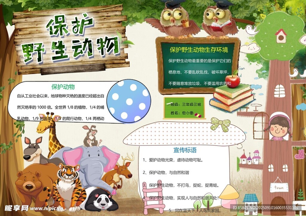 爱护动物手抄报