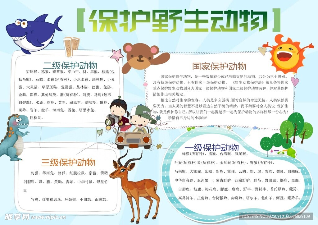 爱护动物手抄报