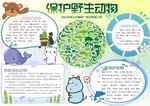 爱护动物手抄报