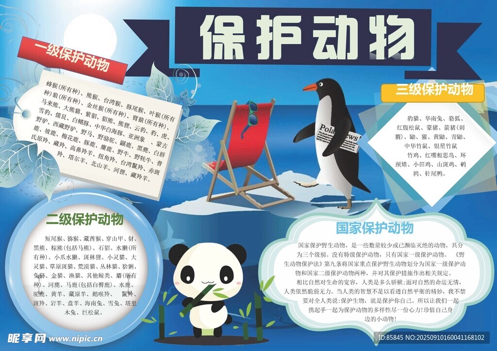 爱护动物手抄报