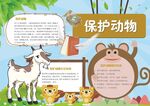 爱护动物手抄报