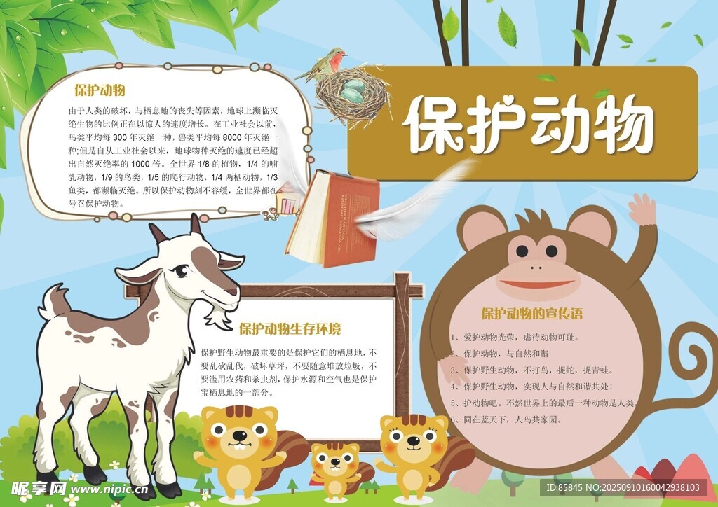 爱护动物手抄报