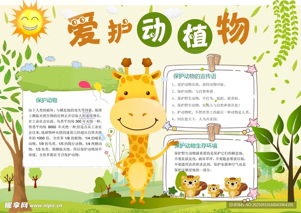 爱护动物手抄报