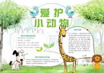爱护动物手抄报