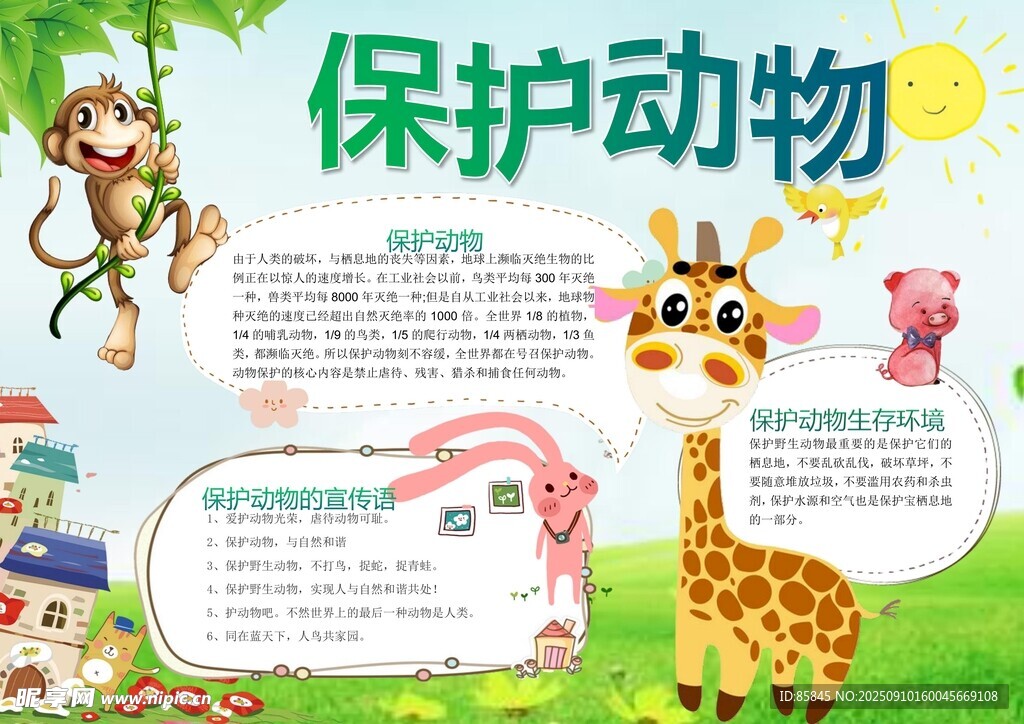 爱护动物手抄报